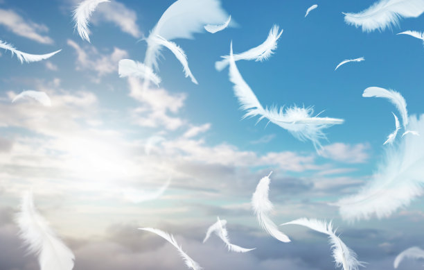一组白色的鸟羽毛漂浮在天空与云。轻飞的羽毛。梦想概念上的自由。图片下载