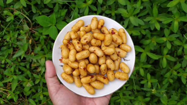 小吃插画摄影。图片下载