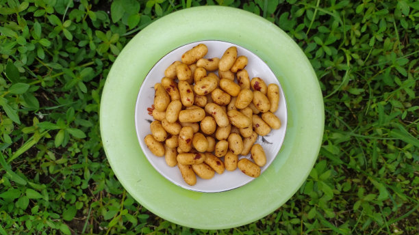 小吃插画摄影。图片下载