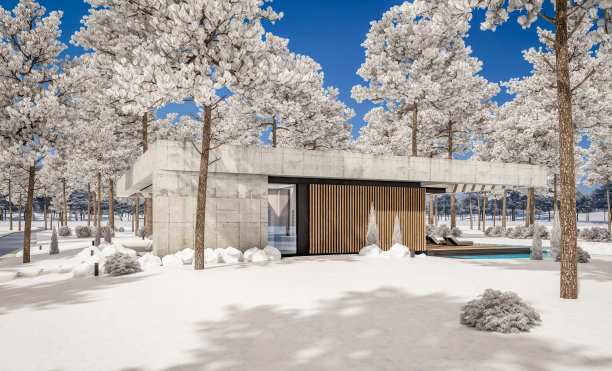 冬季现代风格的新混凝土房屋3d效果图图片下载