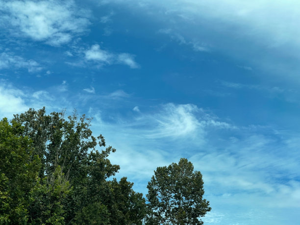 蓝色的天空，美丽的云和树图片下载