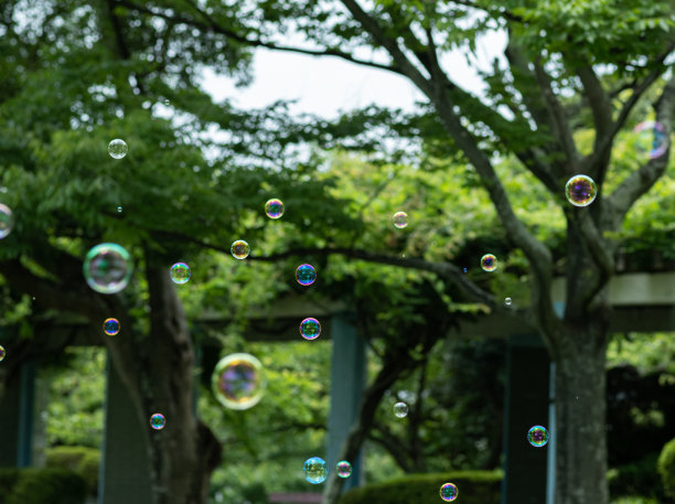 肥皂泡在公园里乱飞图片下载