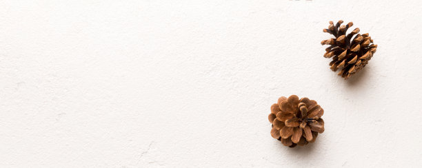 圣诞松果彩纸镶边构图。圣诞节，新年，冬天的概念。平铺，俯视图，复制空间图片下载