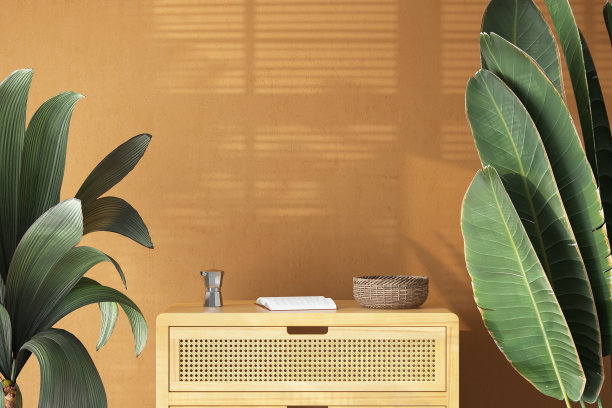 空米色墙壁，绿色植物和木制抽屉图片下载