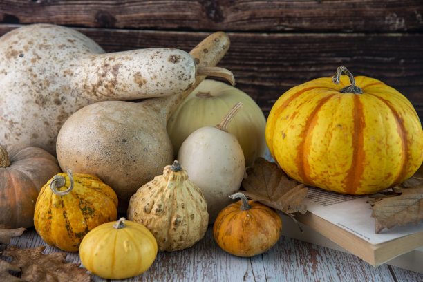 快乐的万圣节假期概念。万圣节的装饰，南瓜，蝙蝠，橙色背景的鬼魂。万圣节派对贺卡模型与复制空间。图片下载