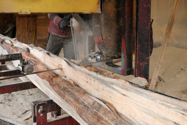 在老锯木厂锯一根松木。木材业图片下载