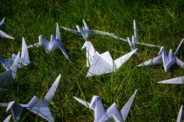 日本1000折折纸鹤在新鲜的草地上图片下载