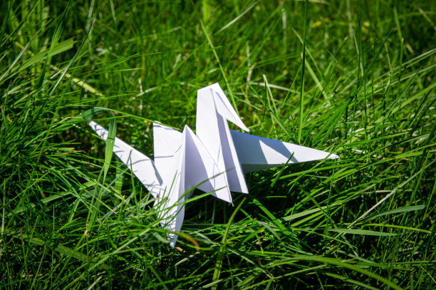 日本1000折折纸鹤在新鲜的草地上图片下载
