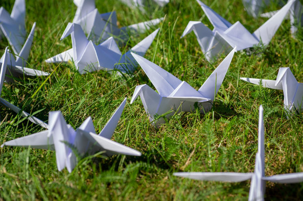 日本1000折折纸鹤在新鲜的草地上图片下载
