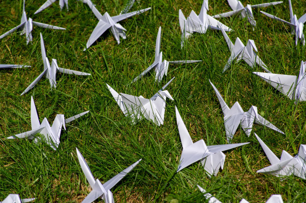 日本1000折折纸鹤在新鲜的草地上图片下载