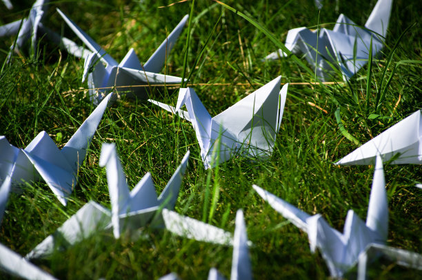 日本1000折折纸鹤在新鲜的草地上图片下载