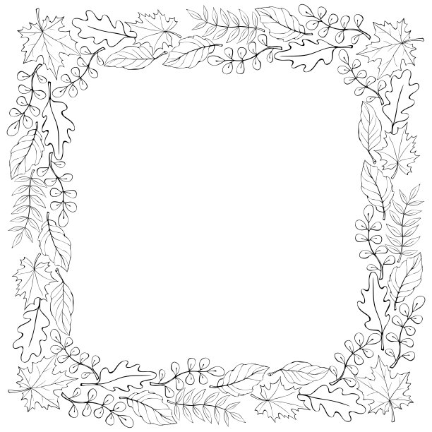 方形矢量框架，边框由黑色轮廓叶手绘涂鸦风格。主题是森林，自然图片下载
