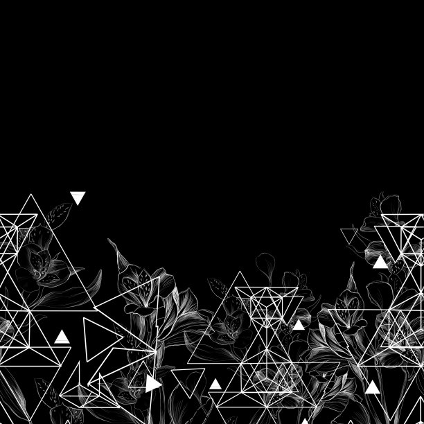 花卉和几何边界与百合和三角形。手绘线条艺术插画图片下载