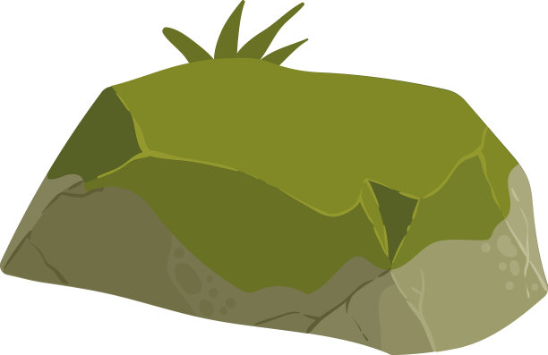 长满青苔的绿色岩石图片下载