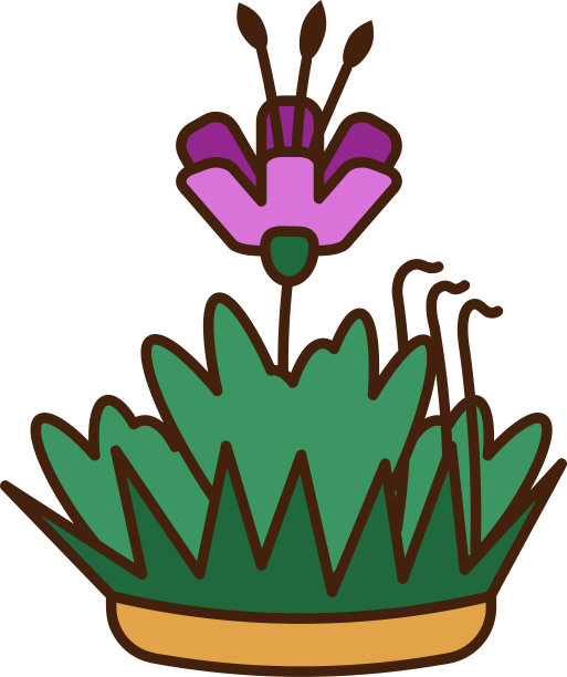 水灯节3.图片下载