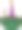 水灯节2.图片下载