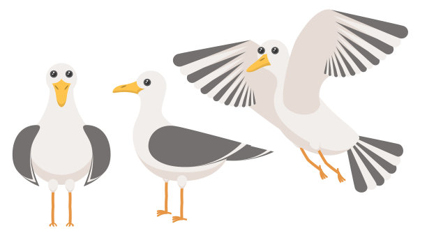 集抽象集合平面卡通不同动物鸟类海鸥站，苍蝇矢量设计风格元素动物野生动物图片下载