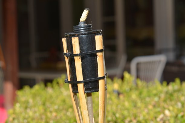 天然的植物和花图片下载