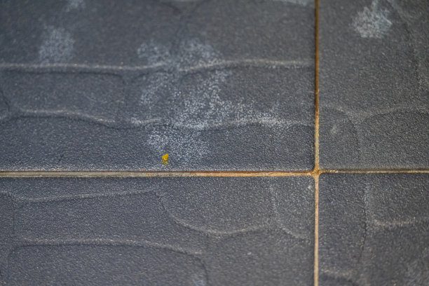 厕所角落的瓷砖有污迹，墙壁和地砖有霉菌。图片下载