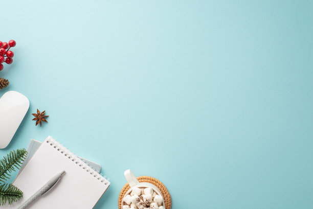 冬天的概念。俯视图照片的电脑鼠标杯可可棉花糖在垫记事本八角槲寄生浆果和云杉枝孤立的柔和蓝色背景与copyspace图片下载