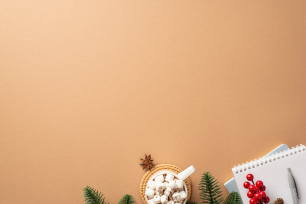 圣诞夜的概念。俯视图照片的马克杯可可棉花糖在藤垫日记笔槲寄生浆果八角和圣诞树树枝孤立的米色背景与空白图片下载
