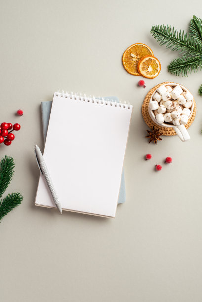 冬天的美学理念。顶视图垂直照片计划钢笔杯热饮用与棉花糖八角干橙片槲寄生和松树枝孤立的灰色背景与copyspace图片下载