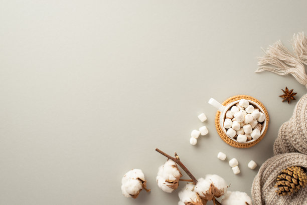 冬季的概念。顶视图照片杯热饮用棉花糖在藤垫针织围巾八角松果和棉花枝上孤立的柔和灰色背景与copyspace图片下载