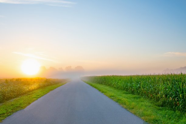 清晨的乡间小路上有雾，印第安纳州霍华德县图片下载