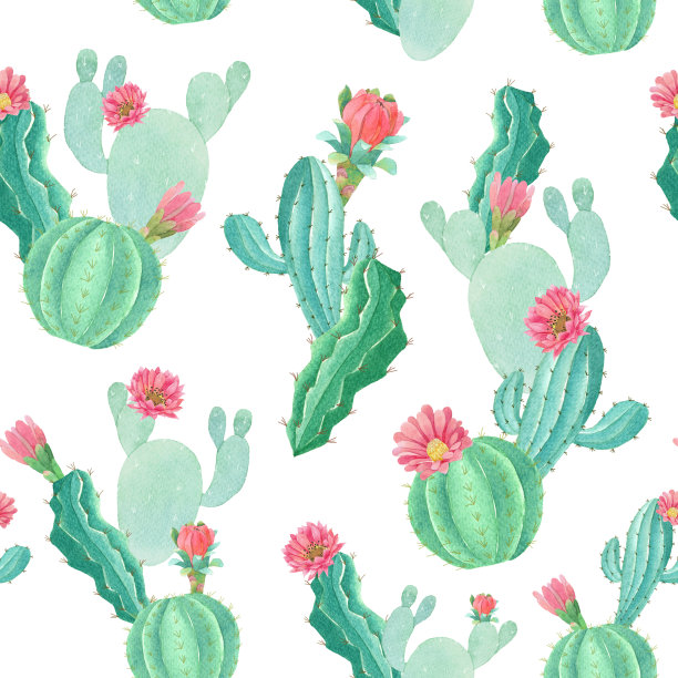 无缝水彩背景插画混合了彩色的花朵和仙人掌与线艺术用于背景纹理，包装纸，纺织贺卡模板或墙纸设计图片下载