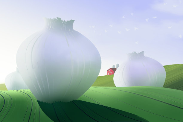 背景为巨大的洋葱或作物在绿色领域的农业或农业产业图片下载