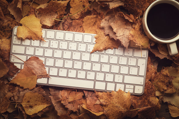 森林移动办公室关于度假或旅行的概念。键盘和咖啡杯落在橙桦树的叶子上。远程工作的自由图片下载
