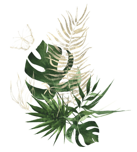 水彩异域草木花束布置。绿色的金色棕榈枝，芭蕉叶和豌豆枝。图片下载