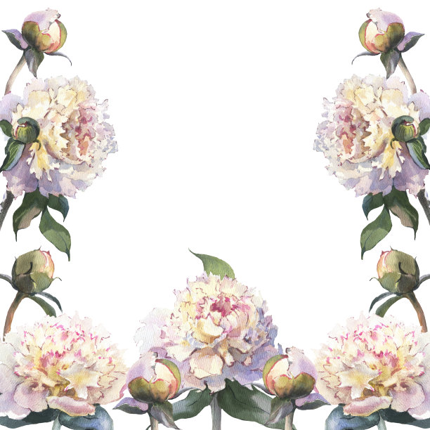 花束与盛开的牡丹，可作为贺卡。水彩插图。图片下载