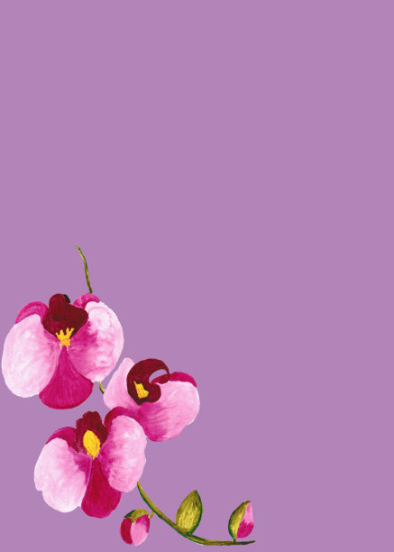 婚礼或生日贺卡，手绘兰花，水彩画图片下载