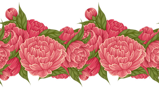 矢量无缝边界与卡通牡丹花与树叶从背景隔离。有花卉构图的框架。植物学弗里兹图片下载