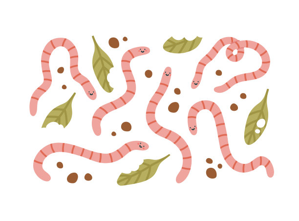 梨蚯蚓，地面，咬树叶。图片下载