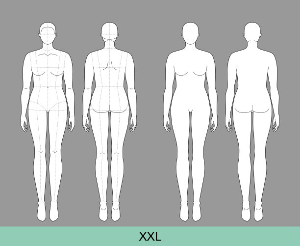 套装XXL女性时尚模板9 9头大小的Croquis加上大小的女士模特曲线身材的前，后视图。矢量轮廓草图女孩为时装设计，插图，技术图纸图片下载