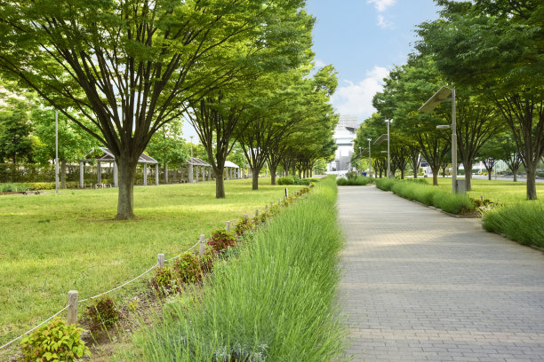 步行街图片下载