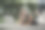 企业妇女工作刚刚开始他们的包装业务，网上营销和航运和中小企业企业家与企业合作伙伴在家里独立工作，他高兴的是达到了目标图片下载