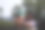 爸爸把儿子抱在怀里，他们用手接住喷泉的水滴图片下载