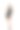 工作室肖像照片的性感曲线美丽优雅的巴西女模特女士黑色泳装比基尼，太阳镜和海滩围巾摆出一系列的时刻的情绪和手势图片下载