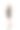工作室肖像照片的性感曲线美丽优雅的巴西女模特女士黑色泳装比基尼，太阳镜和海滩围巾摆出一系列的时刻的情绪和手势图片下载