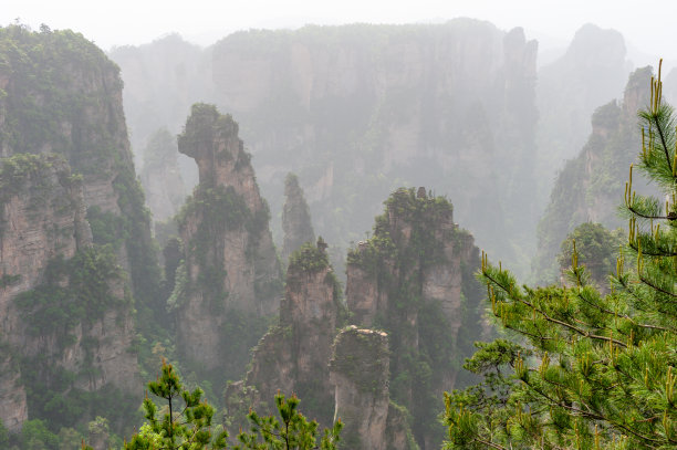 中国湖南省武陵源区张家界国家森林公园图片下载