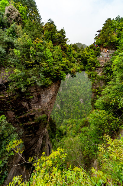中国湖南张家界国家森林公园武陵源区张家界国家森林公园图片下载
