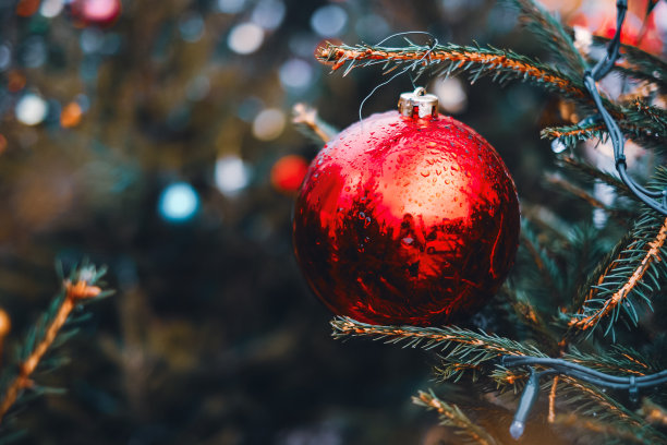 特写上闪亮的红色小玩意在圣诞树上的树枝与串灯图片下载