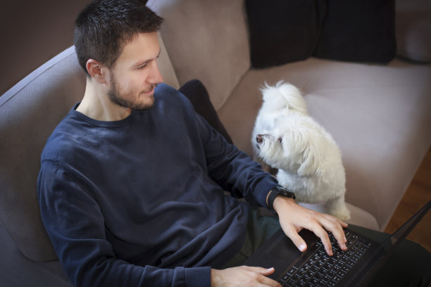 年轻的商人在家用电脑工作，在笔记本电脑键盘上打字，而他的狗看着他图片下载