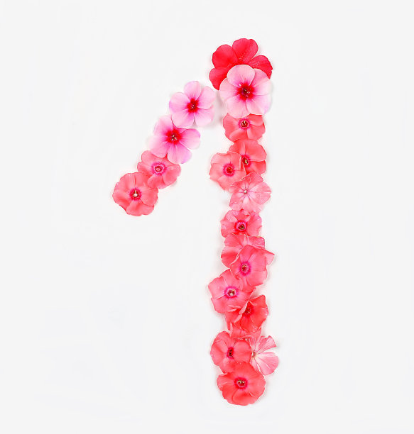 三号是用真正的鲜花做的。花卉字体概念，字母。图片下载