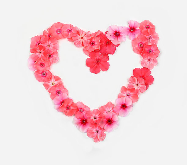 三号是用真正的鲜花做的。花卉字体概念，字母。图片下载