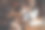 一名男子在咖啡馆用相机拍照图片下载
