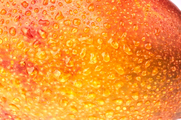 芒果，新鲜蔬菜和水果的照片，背景清晰。图片下载